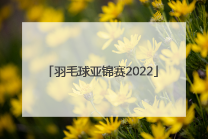 「羽毛球亚锦赛2022」2022羽毛球世锦赛决赛直播