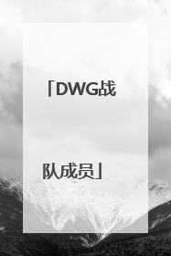 「DWG战队成员」lckdwg战队成员